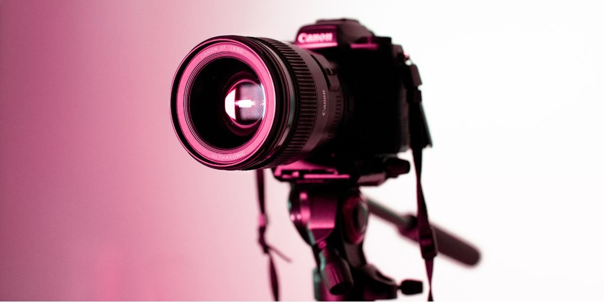What Are the Best Cameras for Wildlife Photography? What Are the Best Cameras for Wildlife Photography?