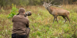 How Do You Choose the Right Camera for Wildlife Photography?